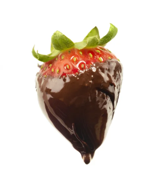 Tropfende Erdbeere mit Schokolade überzogen — Stockfoto