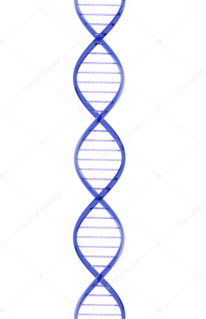 Glass DNA