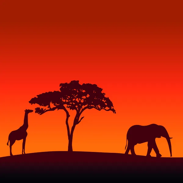 Afrika safari siluet vektör arka plan