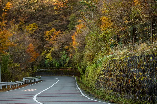 Camino Montaña Cubierto Árboles Otoñales — Foto de Stock