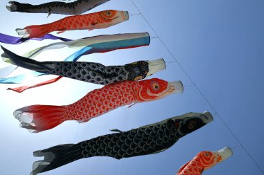 Mavi, berrak bir gökyüzü ve rüzgarda sallanan bir Koi balığı flaması.