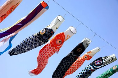 Mavi, berrak bir gökyüzü ve rüzgarda sallanan bir Koi balığı flaması.