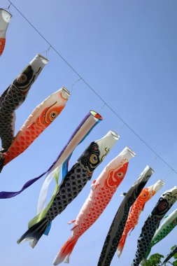 Mavi, berrak bir gökyüzü ve rüzgarda sallanan bir Koi balığı flaması.