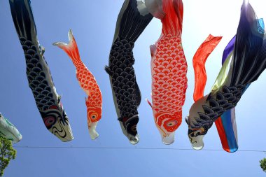 Mavi, berrak bir gökyüzü ve rüzgarda sallanan bir Koi balığı flaması.