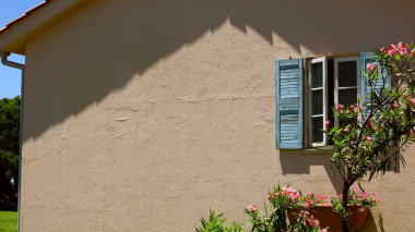 Güney Fransa 'da bir kırsal evin pencere eşiğinde çiçek açan yabani otlar.