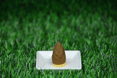 Beyaz kare bir tabağa yerleştirilmiş bambu filizinin minyatür bir modeli.