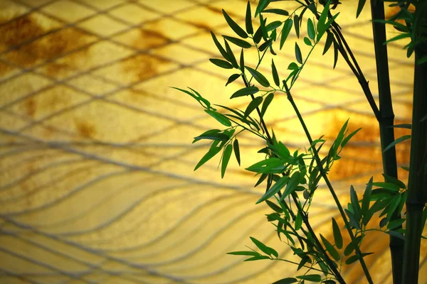 Decorazione Interni Moderna Giapponese Con Bambù Carta Giapponese — Foto Stock