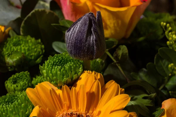 Flower Bouquet — Stock Photo, Image