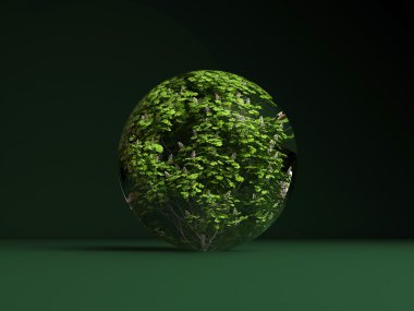 aesculus hippocastanum küre bahar