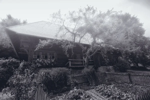 Huis in het zwarte bos — Stockfoto