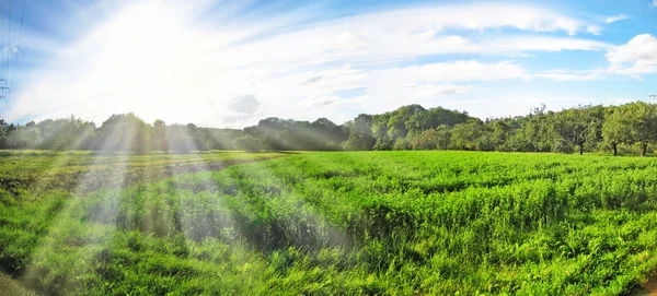 Paysage estival avec herbe verte, route et nuages — Photo