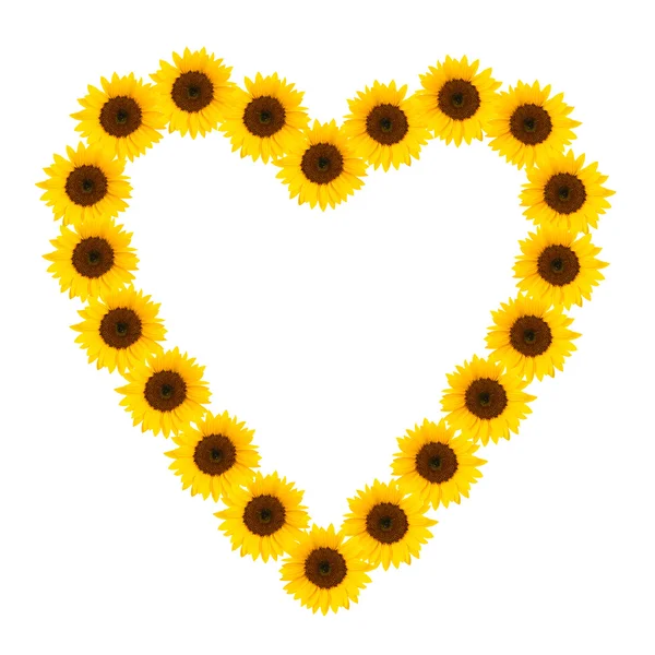 Sonnenblumenherz — Stockfoto