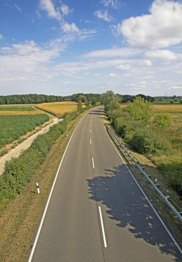 asfalt yol, yeşil çayır