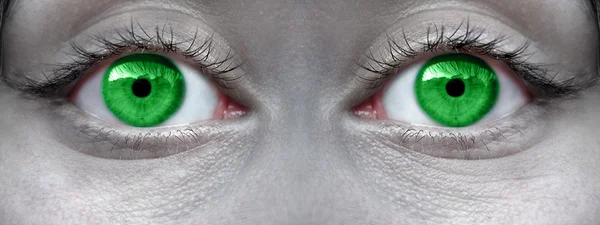 Green eye extreme close up. — Stock Photo, Image