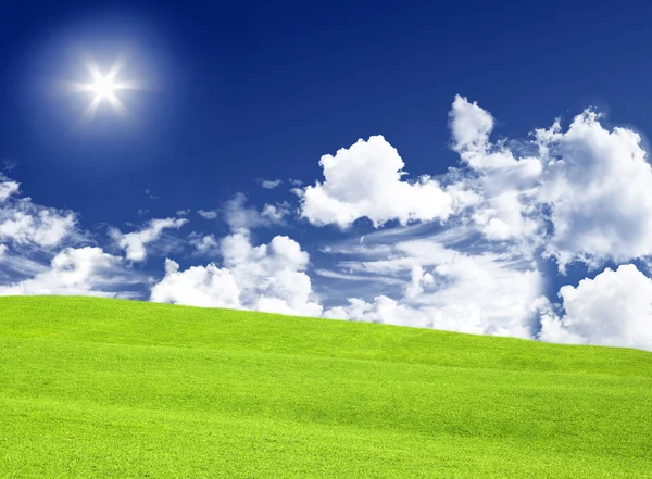 Green meadow & blue sky — Stock Photo, Image