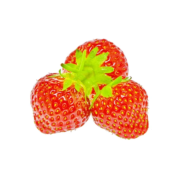 Erdbeeren — Stockfoto