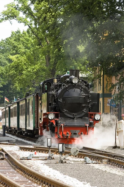 Dampflokomotive — Stockfoto