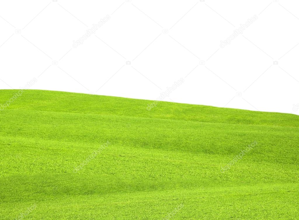 Green grass hill