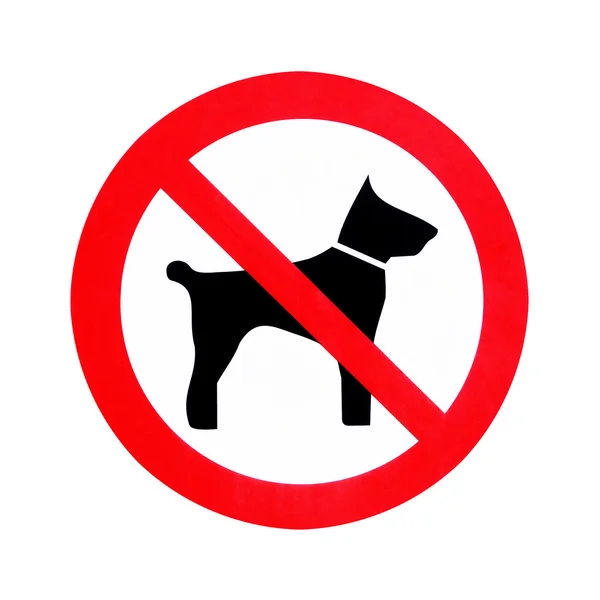 No dogs allowed — Stock Photo, Image