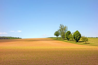 kraichgau alanı