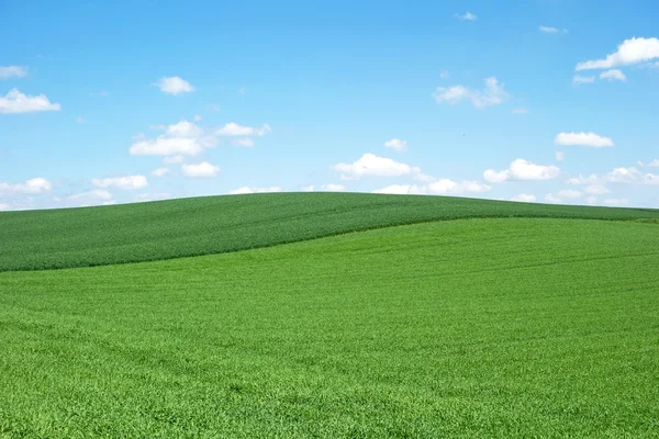 Veld en de hemel — Stockfoto