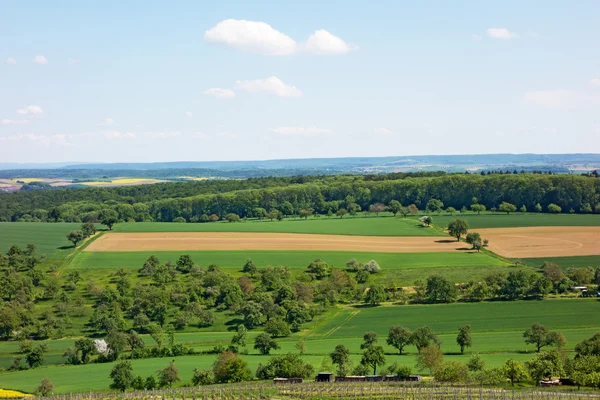 Veld in de kraichgau — Stockfoto