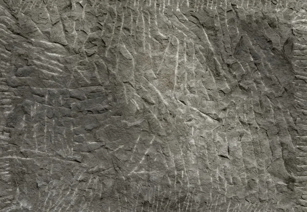 Рок кам'яних текстури — стокове фото