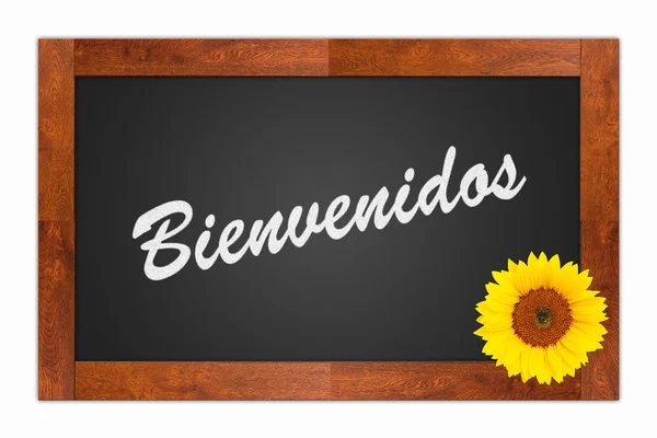Bienvenidos, welkom teken — Stockfoto