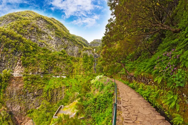 Krásná krajina na ostrově madeira s cestou v blízkosti "levada" k vodopádu — Stock fotografie