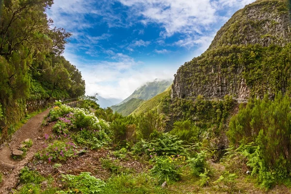 Madeira, idilli táj — Stock Fotó