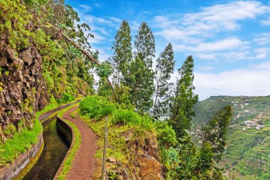 levada, madeira