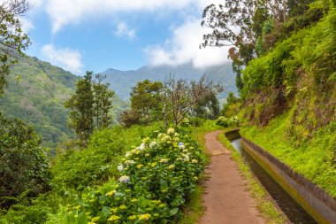 levada, madeira