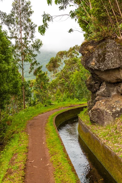 Ao longo da Levada, Madeira — Fotografia de Stock