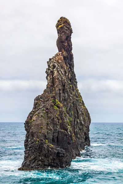 Madeira sahil — Stok fotoğraf