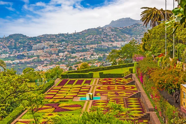 Jardim Botanico, Funchal — Stockfoto