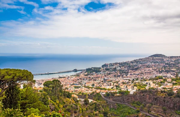 Funchal, Madeira — Stock fotografie