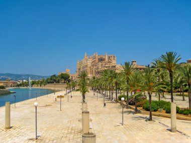 La seu, Mayorka