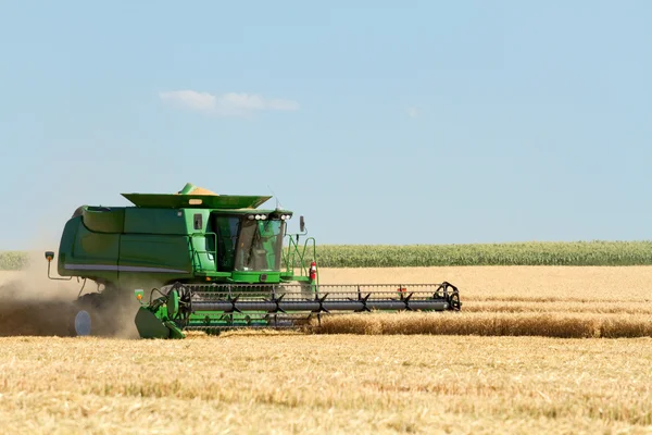 Урожай пшениці Стокове Фото