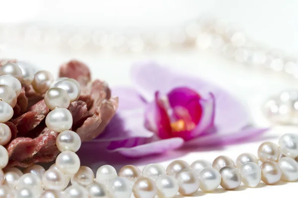 Parel ketting en orchid — Stockfoto