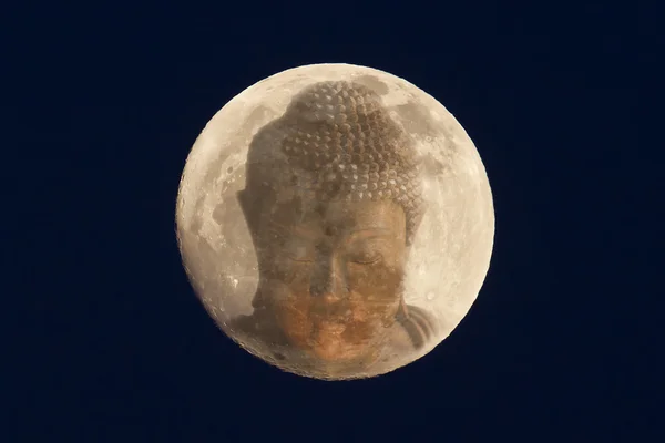 Buddha huvud i månen — Stockfoto