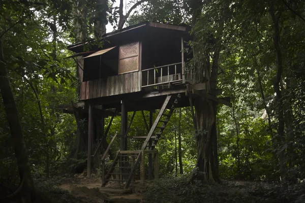 Casa suspendida en árboles — Foto de Stock