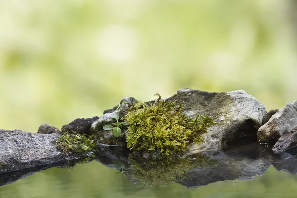 Schaum auf Steinen, Wasser mit Reflex — Stockfoto