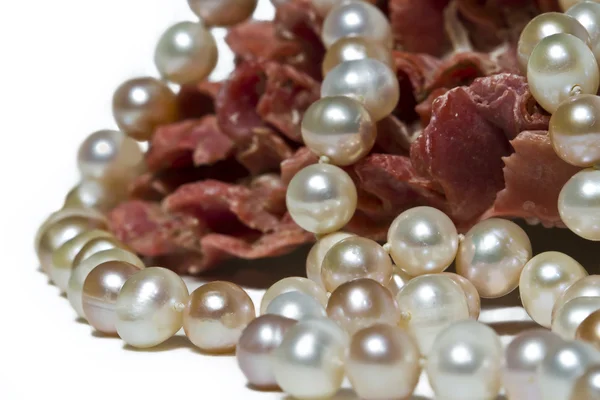 Oysters pearls necklace — Stock Photo, Image