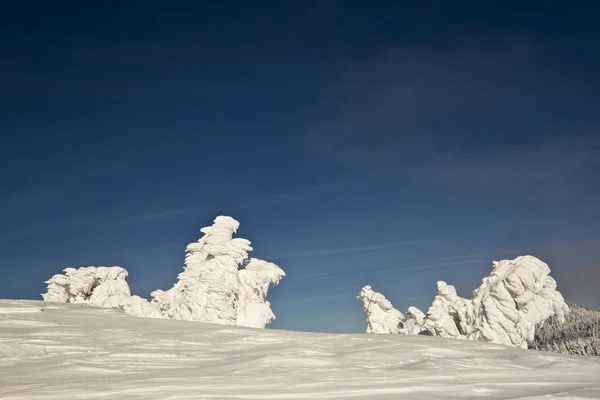 Ledová socha strom pod sněhem v hoře — Stock fotografie