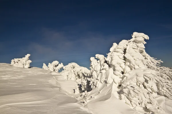 氷の下で山の頂上は雪で木の彫刻 — ストック写真