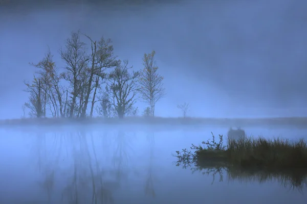 Gün doğumundan gerçekdışı bir atmosferde bir dağ gölü — Stok fotoğraf