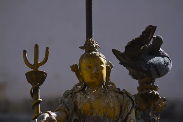 Bronze Buddha sculpture with pigeon — Stock Photo, Image