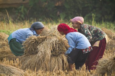 terai, nepal alanında çalışan kimliği belirsiz gençler