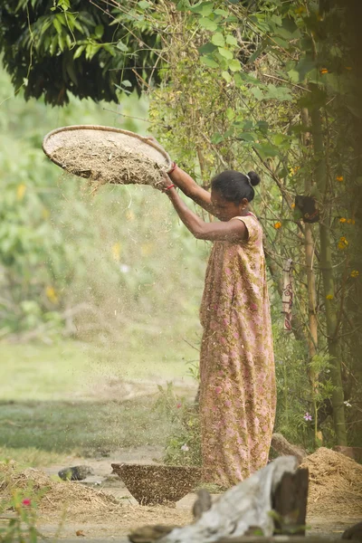 Tharu woman farming in Terai, Nepal — Stock Photo, Image