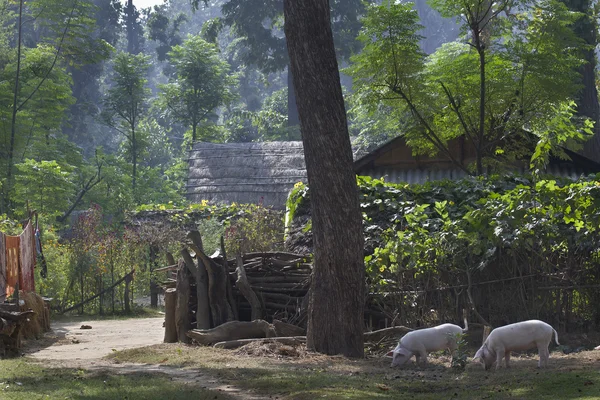 Taru vesnice v odlehlé oblasti terai, Nepál — Stock fotografie